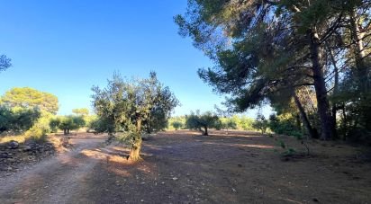 Terra de 4.220 m² a Vallmoll (43144)