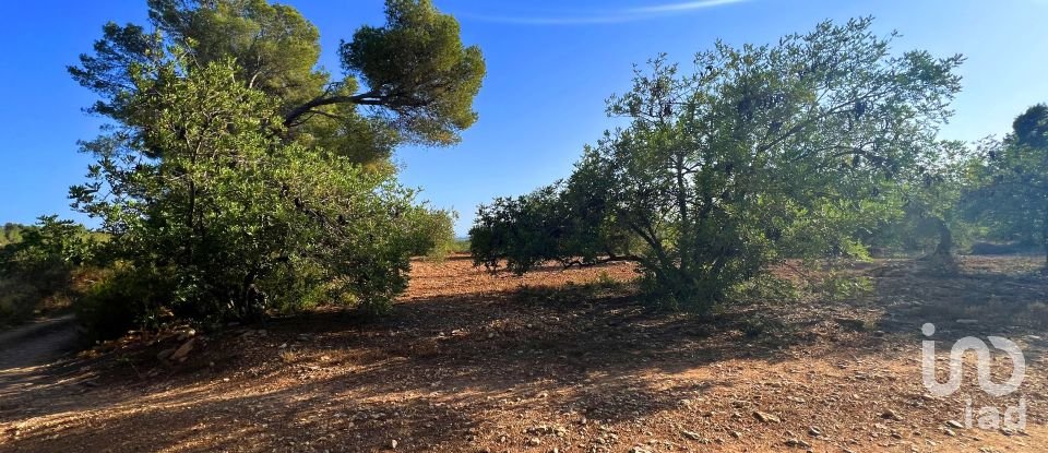 Land of 4,220 m² in Vallmoll (43144)