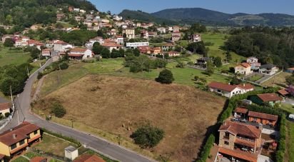 Terrain de 1 072 m² à San Roman de Candamo (33828)