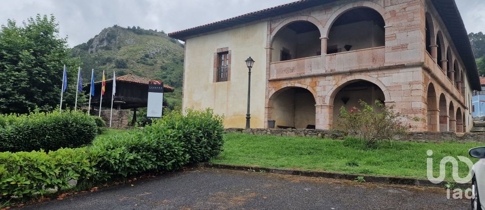 Land of 1,072 m² in San Roman de Candamo (33828)