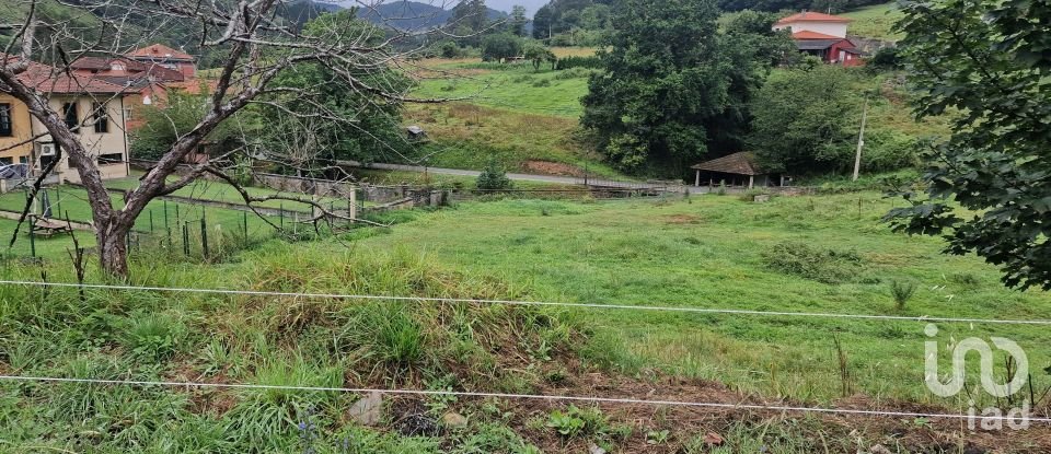 Terrain de 1 000 m² à San Roman de Candamo (33828)