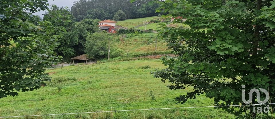 Terrain de 1 000 m² à San Roman de Candamo (33828)