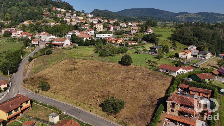 Land of 1,110 m² in San Roman de Candamo (33828)