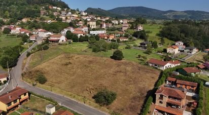 Terreno de 1.110 m² en San Roman de Candamo (33828)