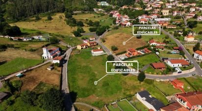 Terreno de 1.000 m² en San Roman de Candamo (33828)