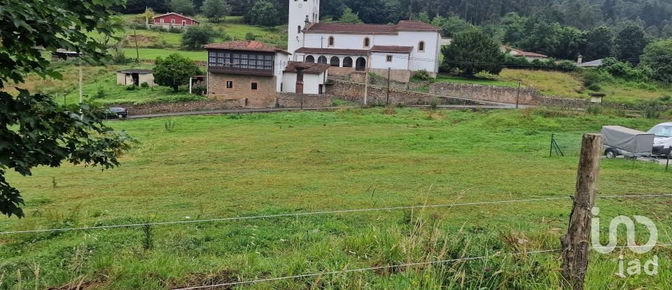 Terreno de 1.000 m² en San Roman de Candamo (33828)