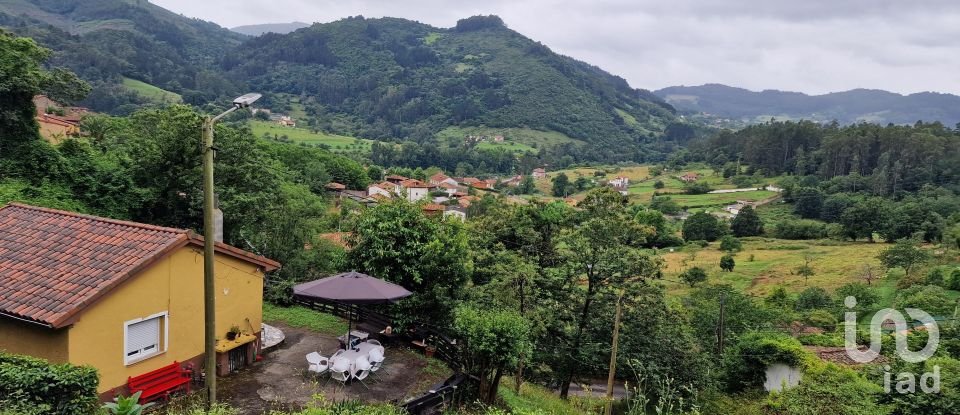 Terreno de 1.000 m² en San Roman de Candamo (33828)