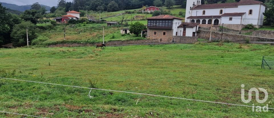 Terreno de 1.000 m² en San Roman de Candamo (33828)