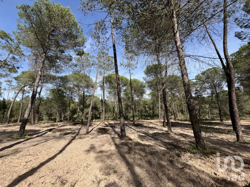 Terreno de 16.000 m² en Villablanca (21590)