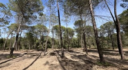 Terreno de 16.000 m² en Villablanca (21590)