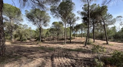 Terreno de 16.000 m² en Villablanca (21590)