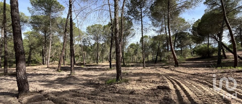 Terreno de 16.000 m² en Villablanca (21590)