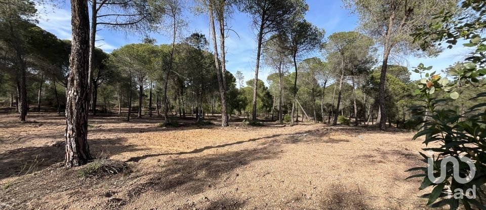 Terreno de 16.000 m² en Villablanca (21590)