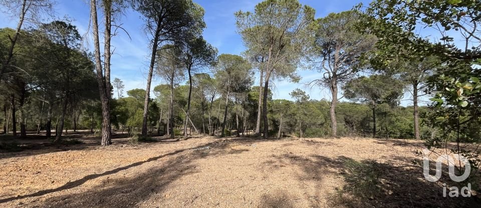 Terrain de 16 000 m² à Villablanca (21590)