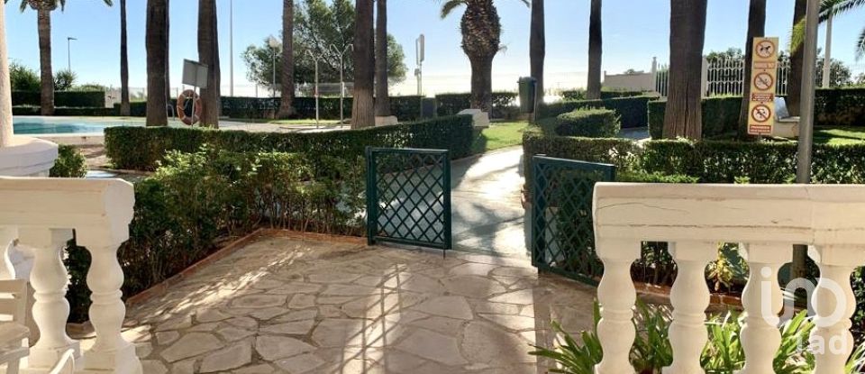 Apartment 3 bedrooms of 75 m² in Alcossebre (12579)