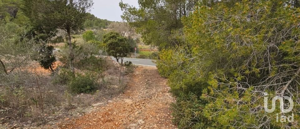 Land of 8,800 m² in Santa Agnes de Corona (07828)