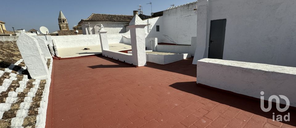 Maison traditionnelle 6 chambres de 503 m² à Medina-Sidonia (11170)