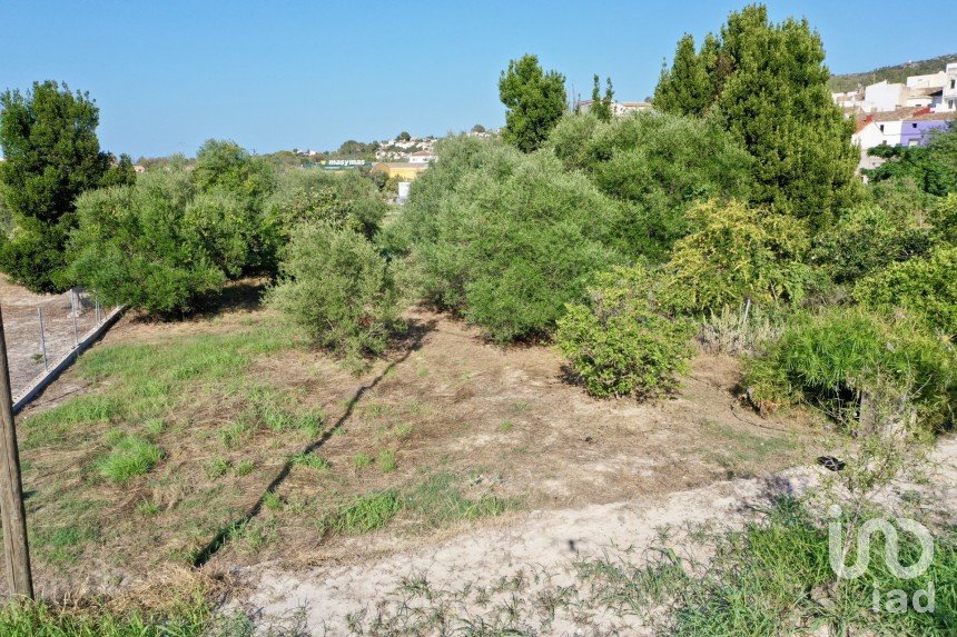 Land of 733 m² in Orba (03790)