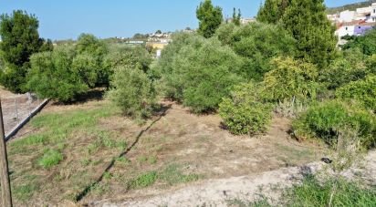 Land of 733 m² in Orba (03790)