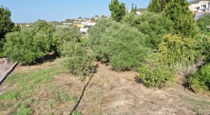 Land of 733 m² in Orba (03790)