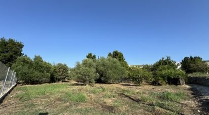 Land of 733 m² in Orba (03790)