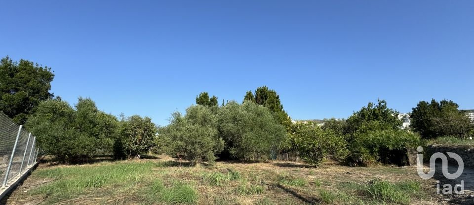 Land of 733 m² in Orba (03790)