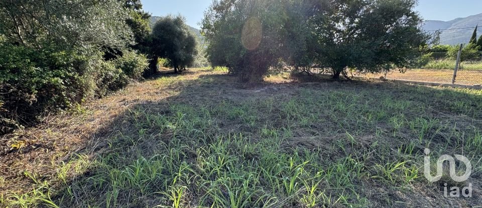 Land of 733 m² in Orba (03790)