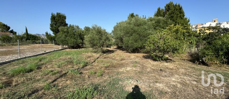 Land of 733 m² in Orba (03790)