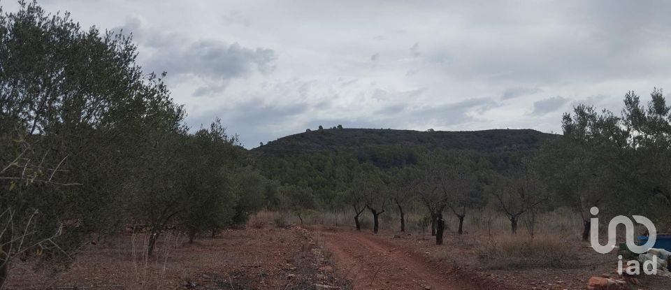 Land of 3,314 m² in Soneja (12480)