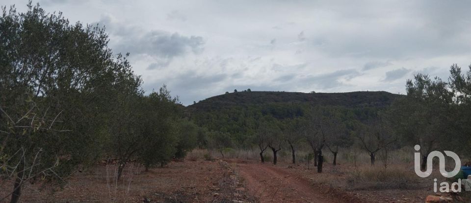 Land of 3,314 m² in Soneja (12480)