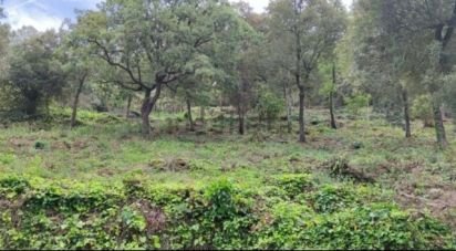 Land of 3,282 m² in Torrelles de Llobregat (08629)