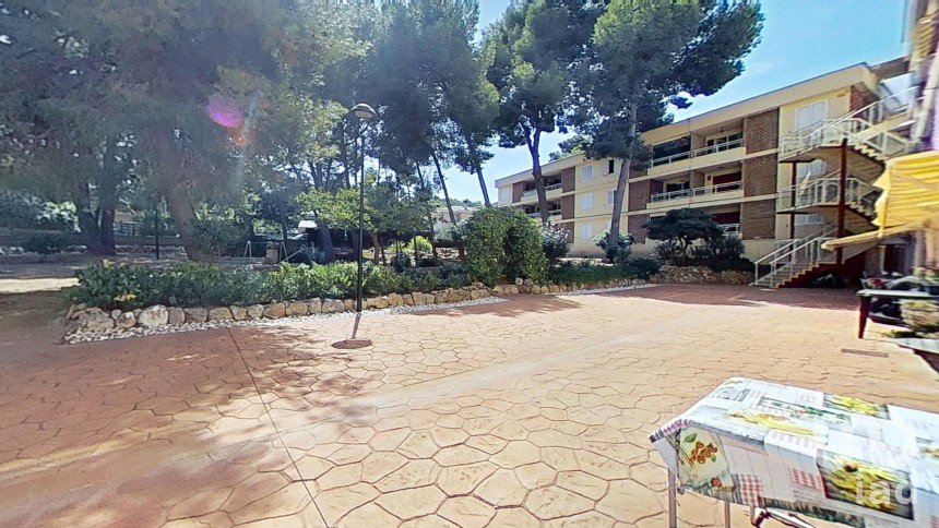 Apartment 0 bedrooms of 23 m² in Salou (43840)