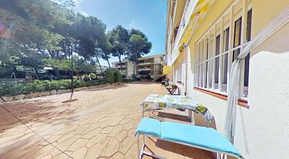 Appartement 0 chambre de 23 m² à Salou (43840)