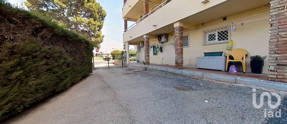 Appartement 0 chambre de 23 m² à Salou (43840)