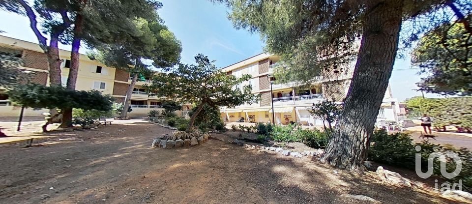 Appartement 0 chambre de 23 m² à Salou (43840)