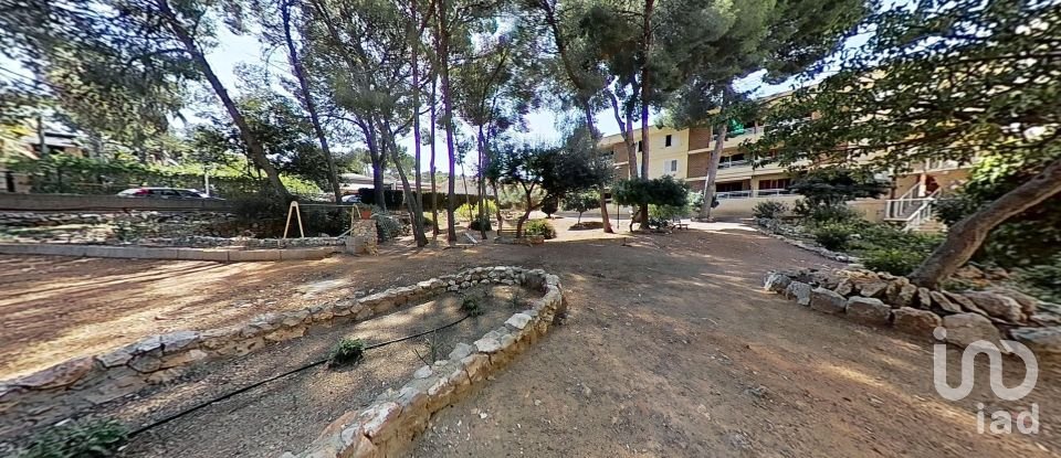 Appartement 0 chambre de 23 m² à Salou (43840)