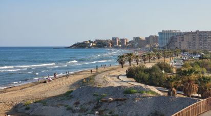 Dúplex 2 habitaciones de 76 m² en Oropesa/Oropesa del Mar (12594)