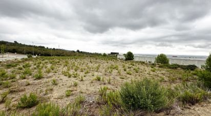 Terreno de 4.650 m² en La Selva del Camp (43470)