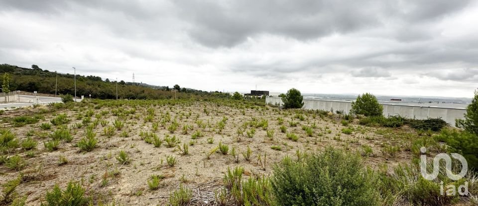 Terreno de 4.650 m² en La Selva del Camp (43470)