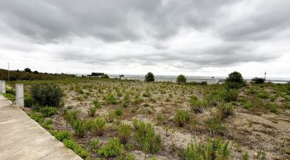 Terreno de 4.650 m² en La Selva del Camp (43470)