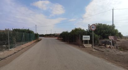 Land of 19,614 m² in El Gimenado (30708)