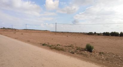 Land of 19,614 m² in El Gimenado (30708)