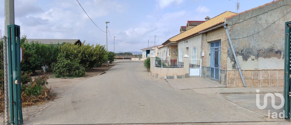 Land of 19,614 m² in El Gimenado (30708)