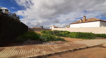 Terreno de 551 m² en Cañada Rosal (41439)