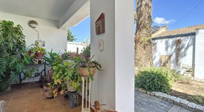 Gîte 4 chambres de 192 m² à Chiclana de la Frontera (11130)