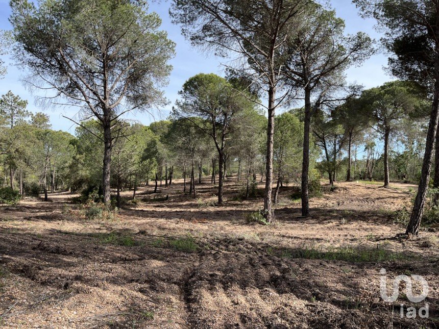 Terreno de 16.000 m² en Villablanca (21590)