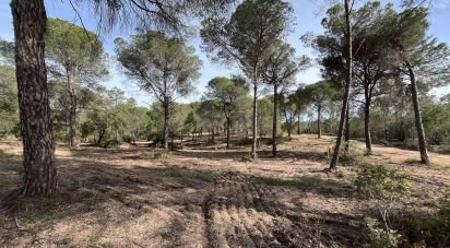 Land of 16,000 m² in Villablanca (21590)