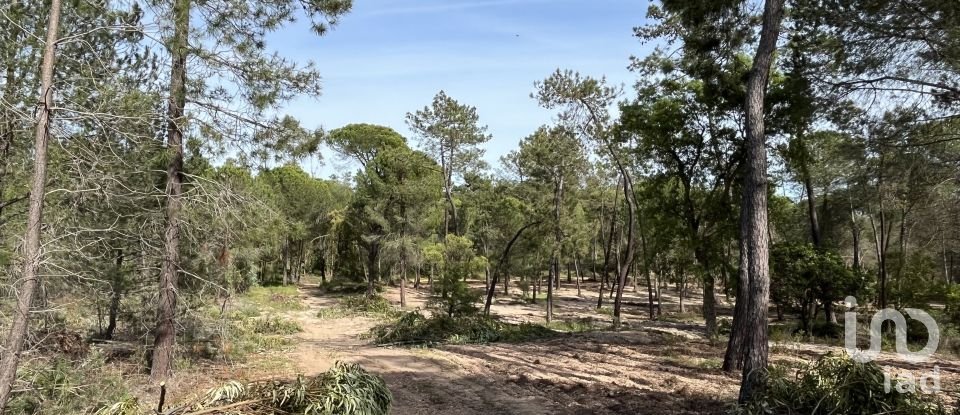 Land of 16,000 m² in Villablanca (21590)