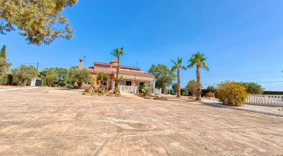 Maison 4 chambres de 317 m² à Partida Peña de Las Aguilas (03296)