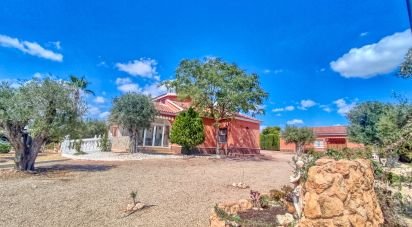 Casa 4 habitaciones de 317 m² en Partida Peña de Las Aguilas (03296)